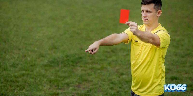 Nhiều loại kèo, gia tăng lựa chọn